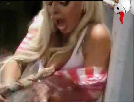 Прокусив силиконовые сиськи - змея сдохла (ВИДЕО)