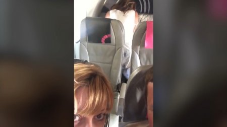 Пара трахалась на заднем сиденье пассажирского авиалайнера (ВИДЕО)